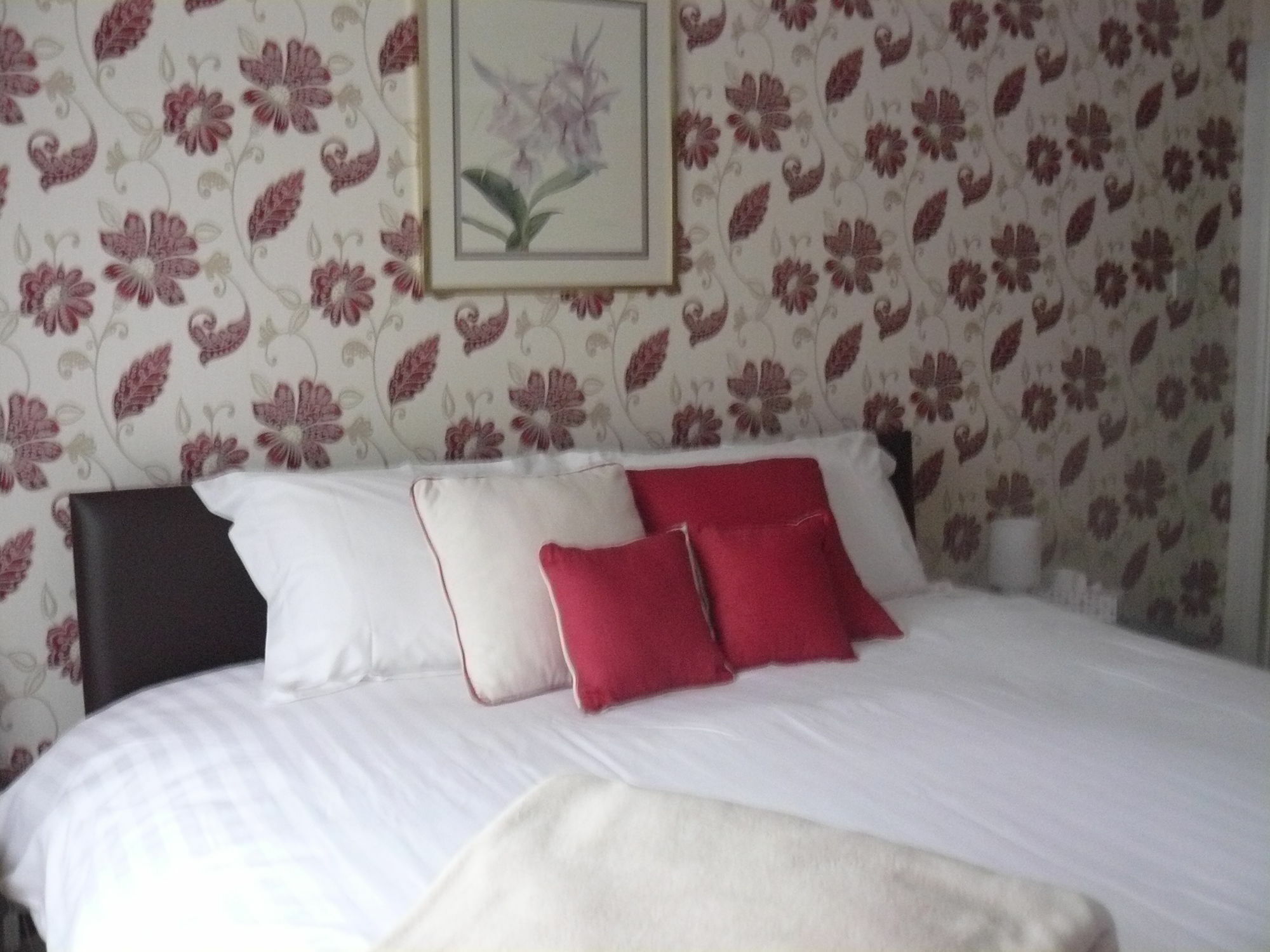Forest View B&B Landford Esterno foto