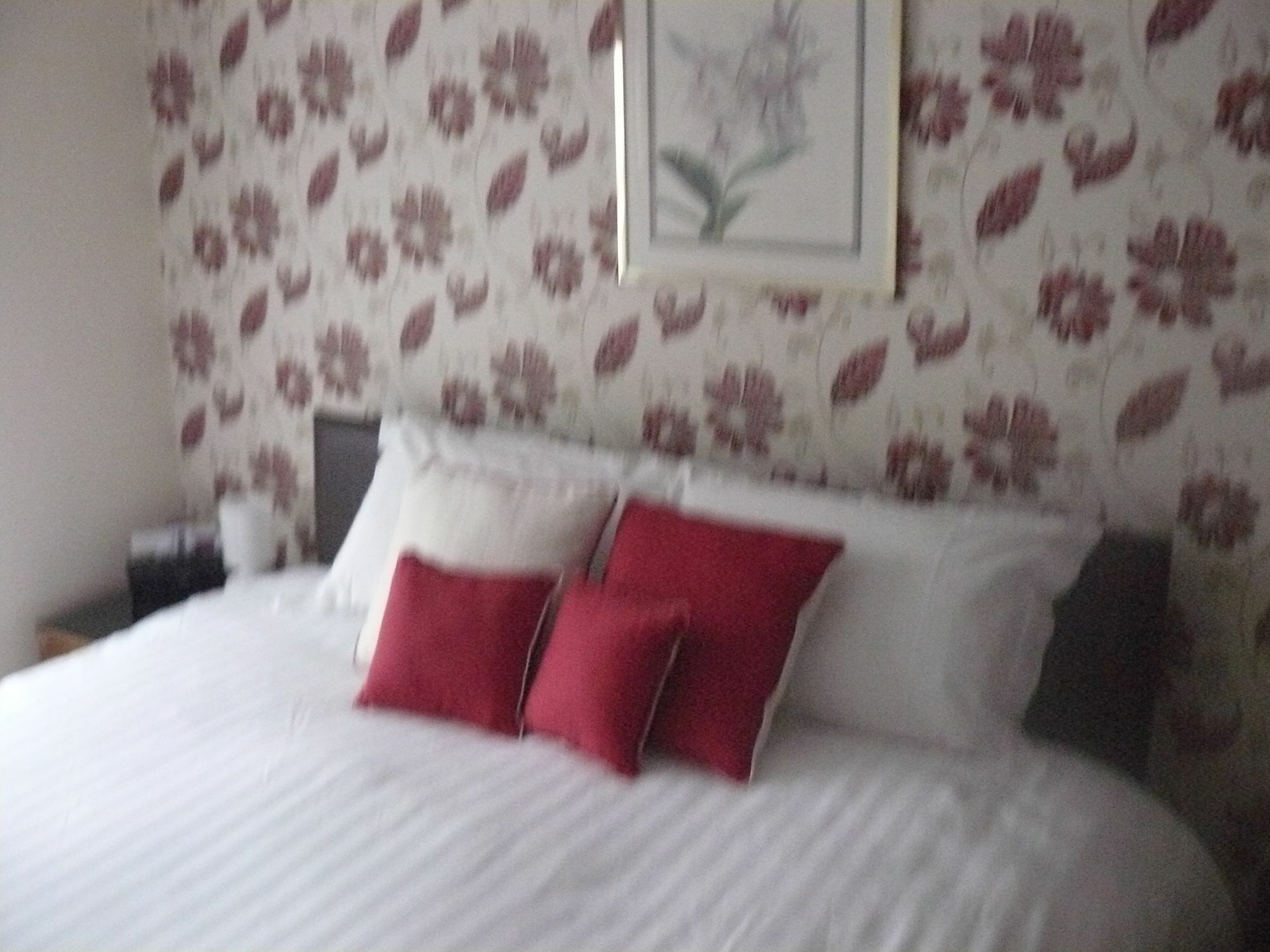Forest View B&B Landford Esterno foto