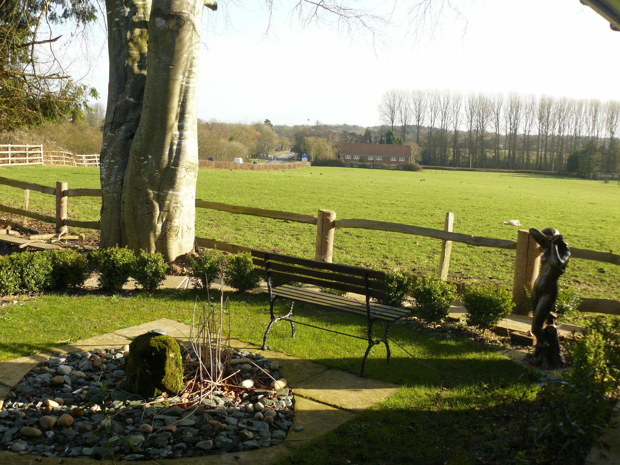 Forest View B&B Landford Esterno foto